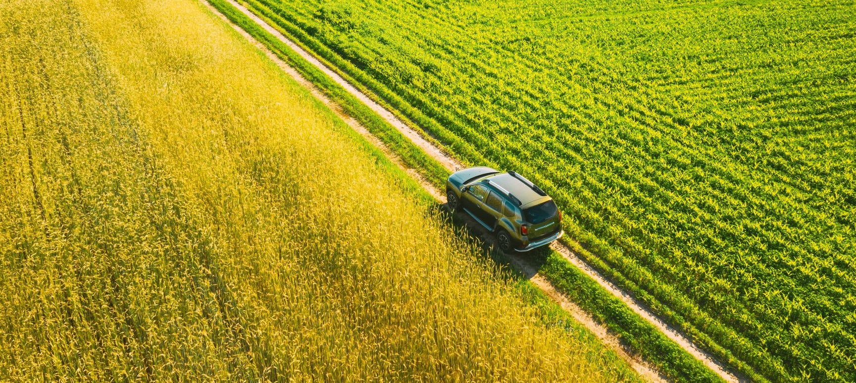 SUV som kör på ett fält